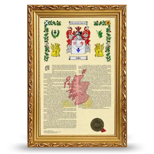 Goles Armorial History Framed - Gold