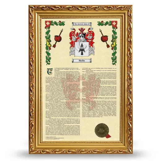 Hadin Armorial History Framed - Gold