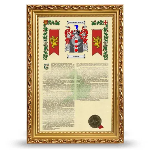 Hamle Armorial History Framed - Gold