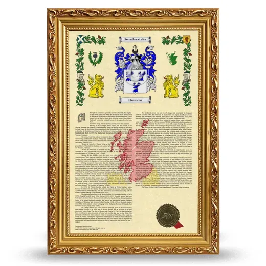 Hannow Armorial History Framed - Gold