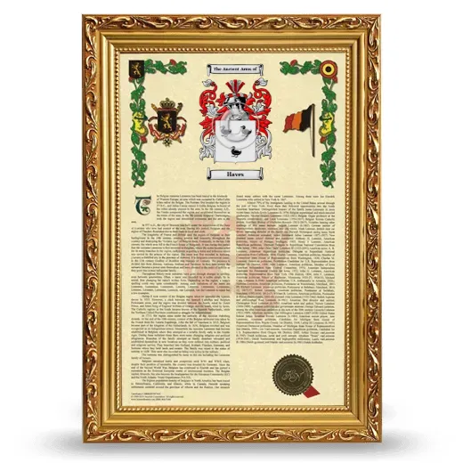 Haves Armorial History Framed - Gold