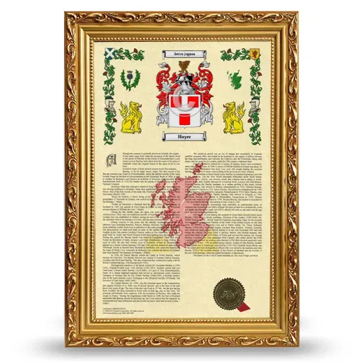 Hayer Armorial History Framed - Gold