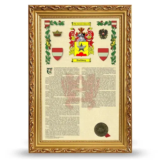 Hochberg Armorial History Framed - Gold