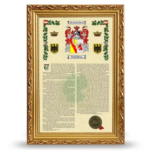 Hochenburg Armorial History Framed - Gold