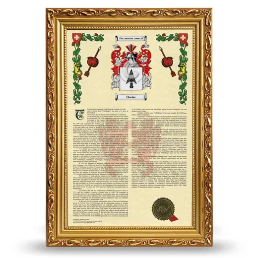 Hoder Armorial History Framed - Gold