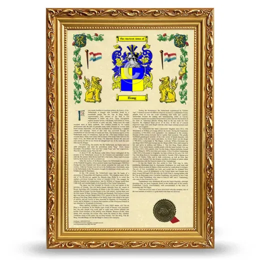 Hong Armorial History Framed - Gold