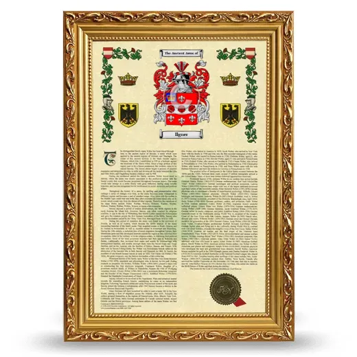 Ilgner Armorial History Framed - Gold