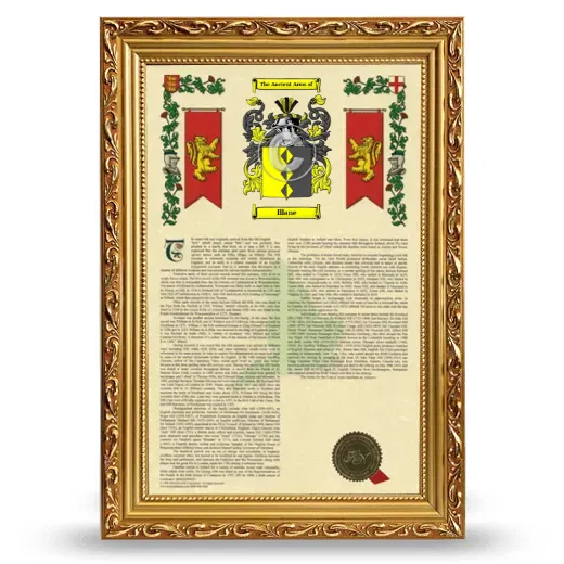 Illane Armorial History Framed - Gold