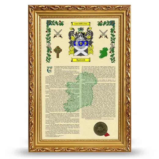 Ilpatreck Armorial History Framed - Gold