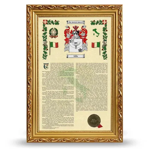 Lillu Armorial History Framed - Gold