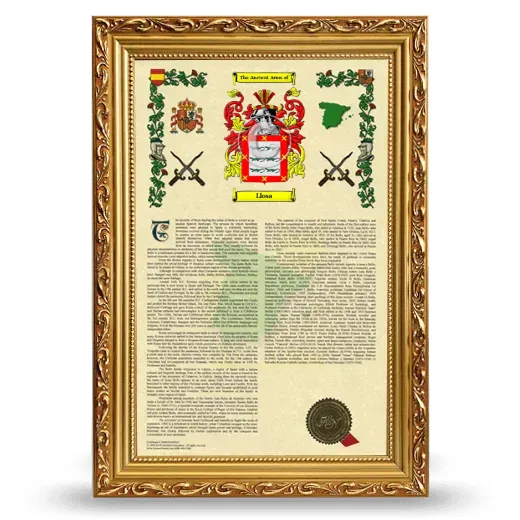 Llosa Armorial History Framed - Gold