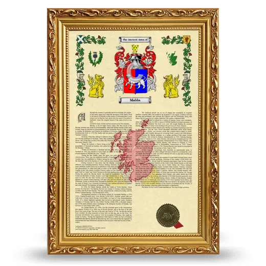 Mabbs Armorial History Framed - Gold