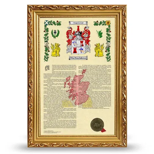MacNeachdainn Armorial History Framed - Gold
