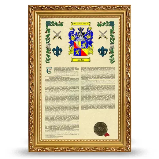 Maday Armorial History Framed - Gold