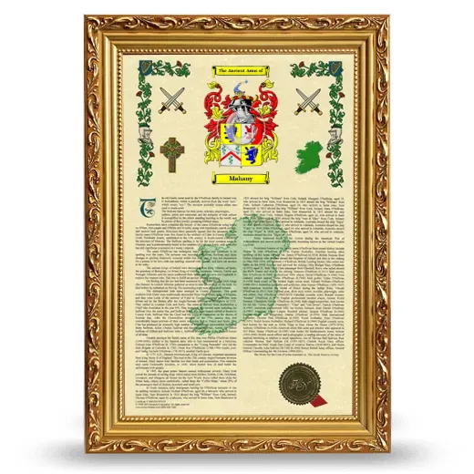 Mahany Armorial History Framed - Gold