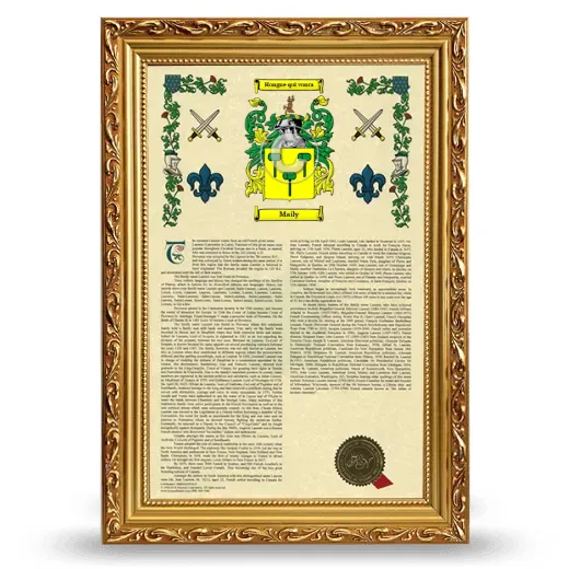 Maily Armorial History Framed - Gold