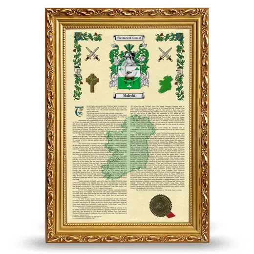Malecki Armorial History Framed - Gold
