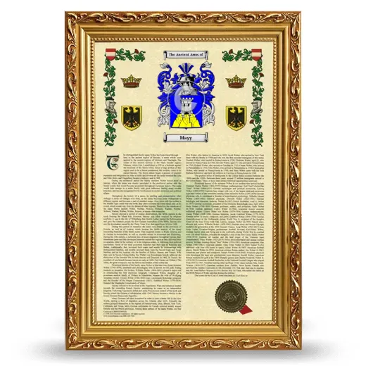 Mayy Armorial History Framed - Gold