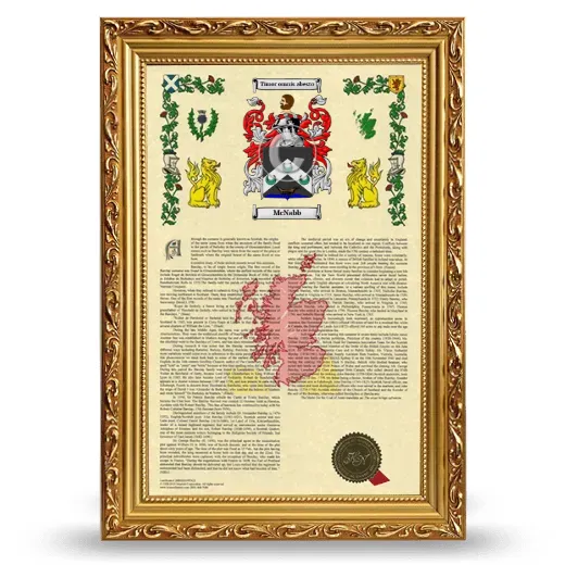 McNabb Armorial History Framed - Gold
