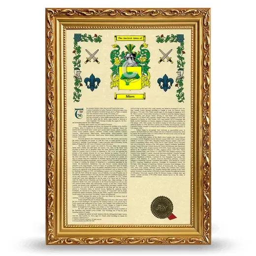 Mires Armorial History Framed - Gold