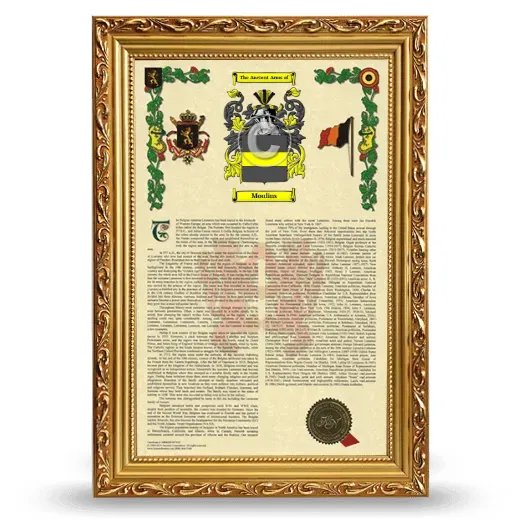 Moulins Armorial History Framed - Gold