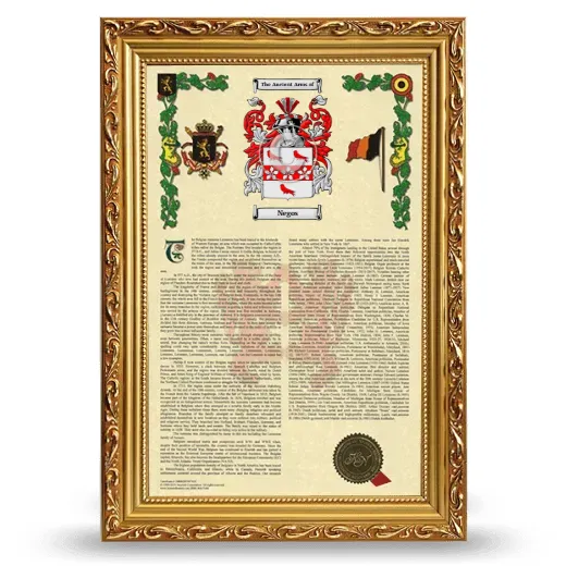Negos Armorial History Framed - Gold