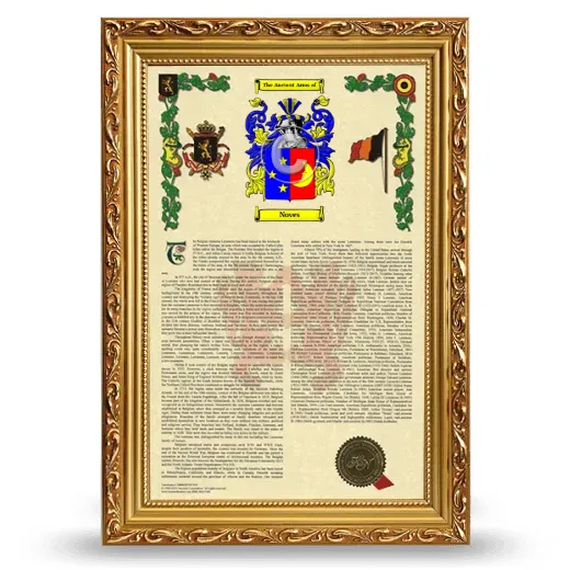 Noves Armorial History Framed - Gold