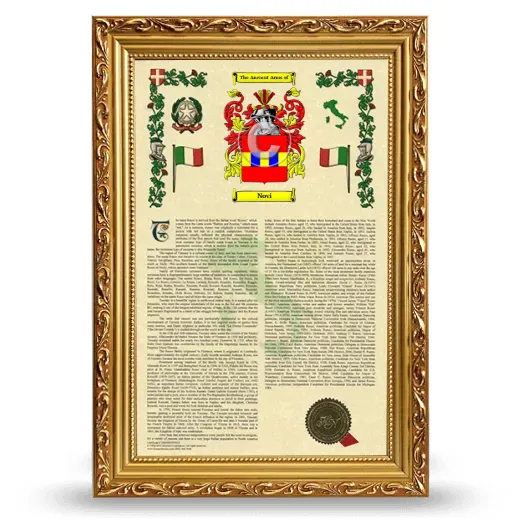 Novi Armorial History Framed - Gold