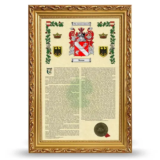 Novoa Armorial History Framed - Gold