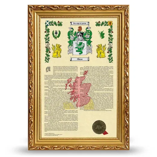 Olane Armorial History Framed - Gold