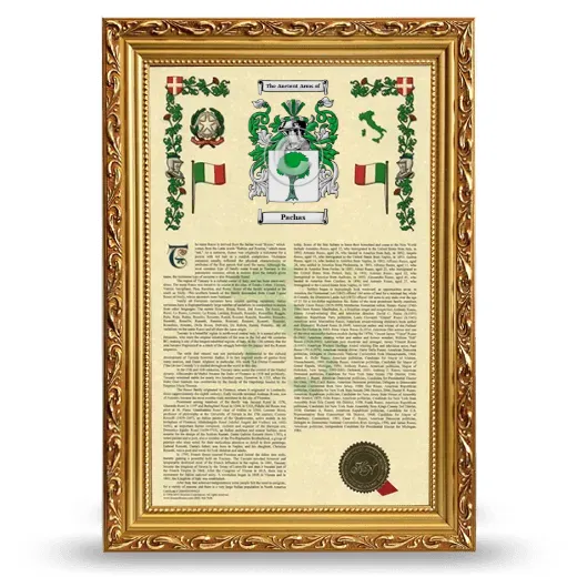 Pachas Armorial History Framed - Gold