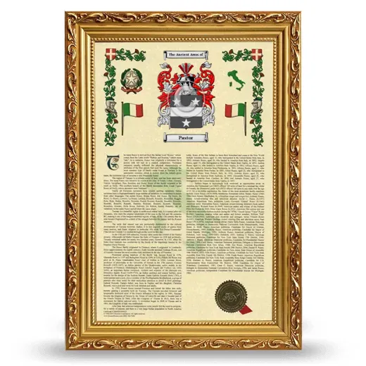Pastor Armorial History Framed - Gold