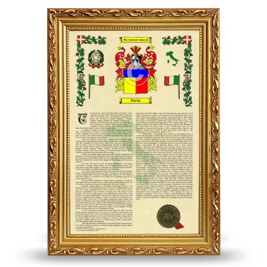 Pattis Armorial History Framed - Gold