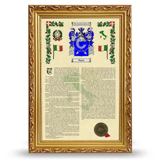 Payze Armorial History Framed - Gold