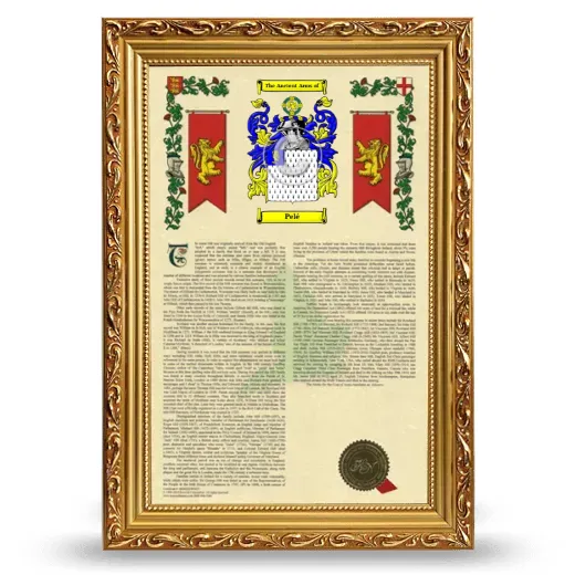 Pelé Armorial History Framed - Gold