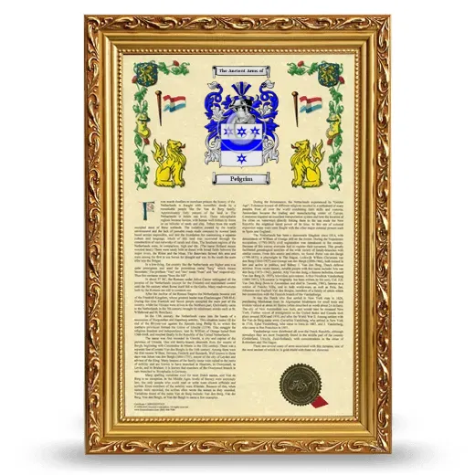Pelgrim Armorial History Framed - Gold