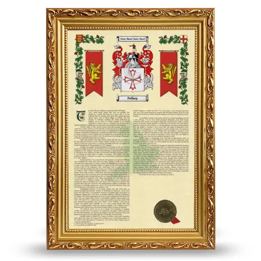 Pelkey Armorial History Framed - Gold