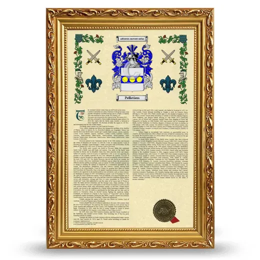 Pelletiers Armorial History Framed - Gold