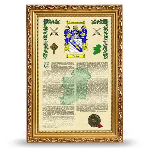 Petties Armorial History Framed - Gold