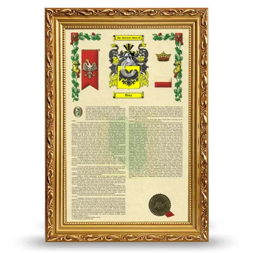 Petz Armorial History Framed - Gold