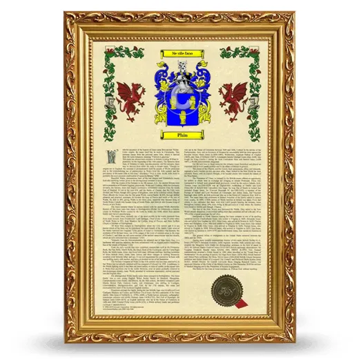Phin Armorial History Framed - Gold