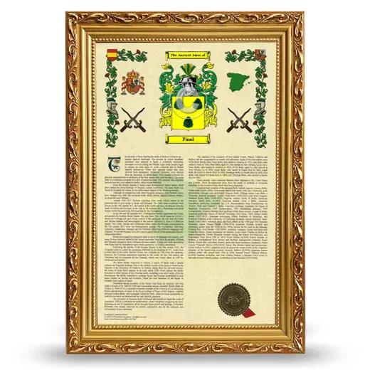 Pinol Armorial History Framed - Gold
