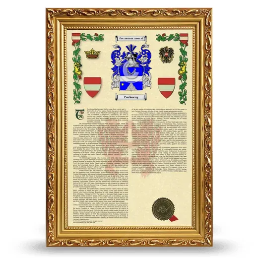 Pockorny Armorial History Framed - Gold