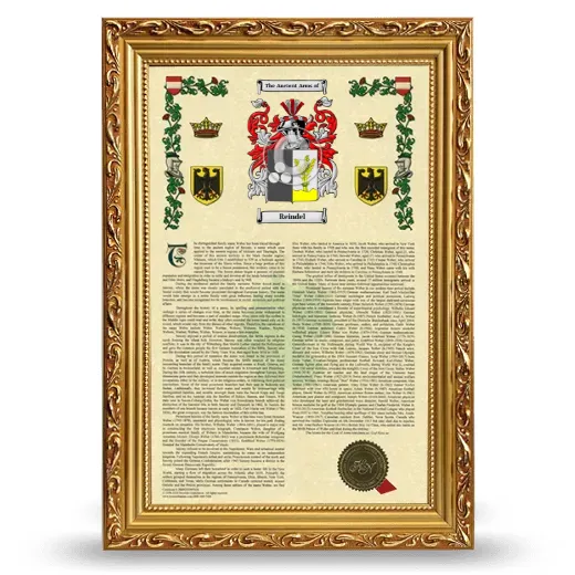 Reindel Armorial History Framed - Gold