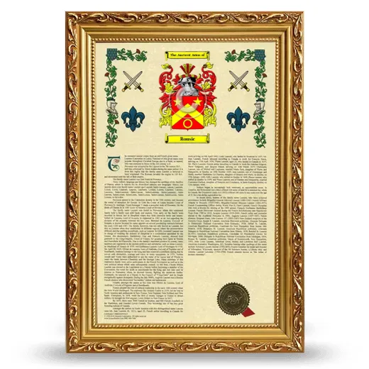Rousic Armorial History Framed - Gold