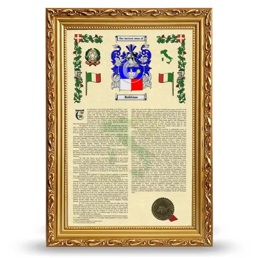 Rubbino Armorial History Framed - Gold