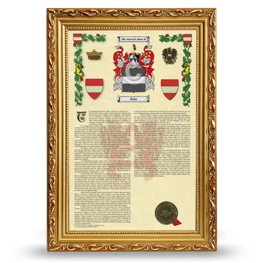 Salz Armorial History Framed - Gold