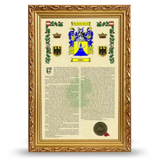Salzer Armorial History Framed - Gold
