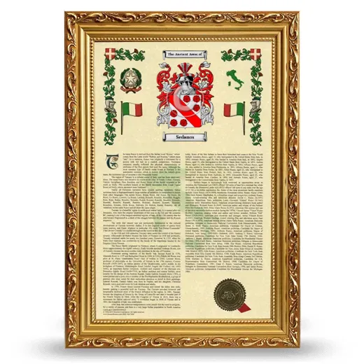 Sedanos Armorial History Framed - Gold