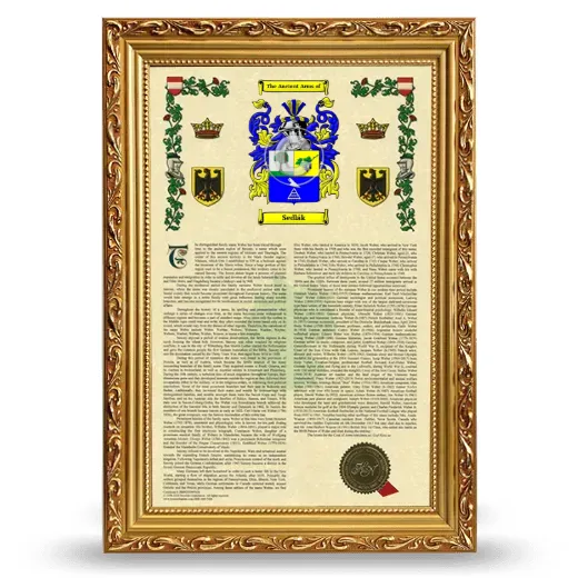 Sedlák Armorial History Framed - Gold